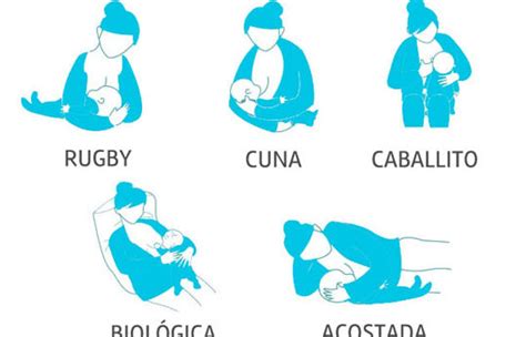 Ilustración de diversas posiciones para amamantar: clásica, sandía, caballito, acostada
