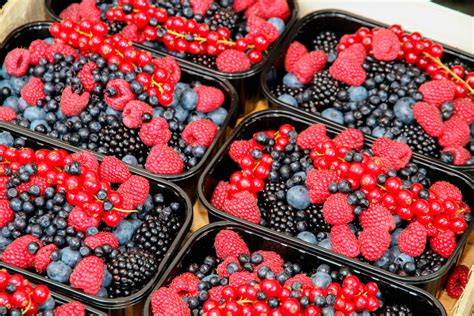 Imagen de magdalenas de yogur recién horneadas con frutos del bosque frescos espolvoreadas con azúcar glas