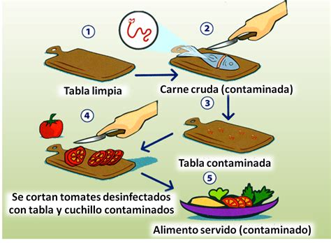 Diagrama de contaminación cruzada en la cocina con utensilios y tablas de cortar