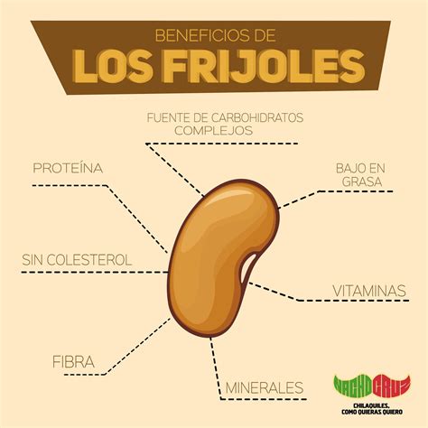 Infografía: Beneficios nutricionales de los frijoles