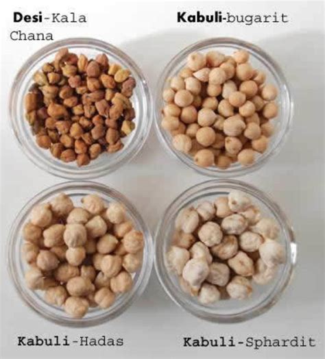 Comparación visual de garbanzos tipo Desi y Kabuli
