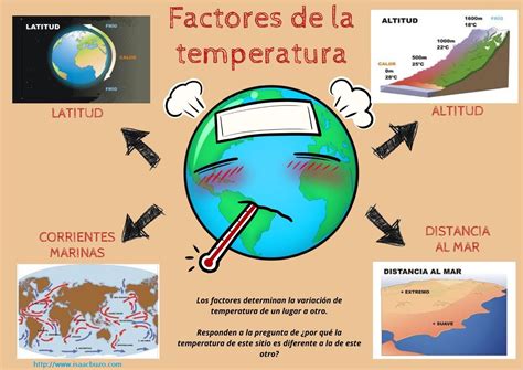 Esquema visual de los factores que influyen en la cocción de papas al horno: almidón, humedad, temperatura y aceite.