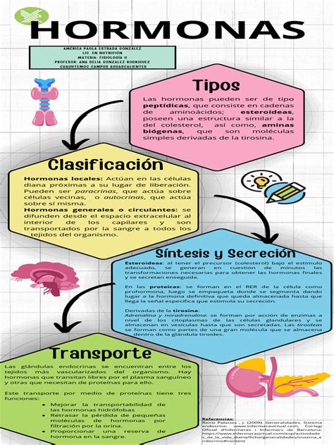 Esquema de la relación entre peso corporal, hormonas y fertilidad