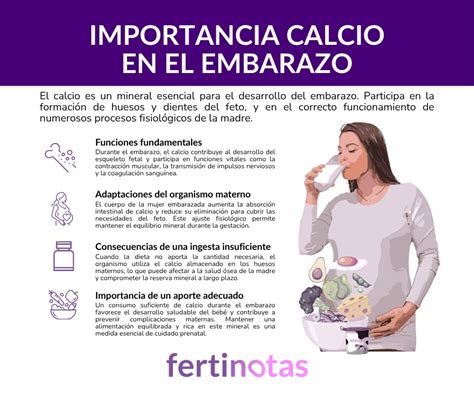 Infografía: Fuentes de calcio recomendadas durante el embarazo y su importancia para la salud ósea.