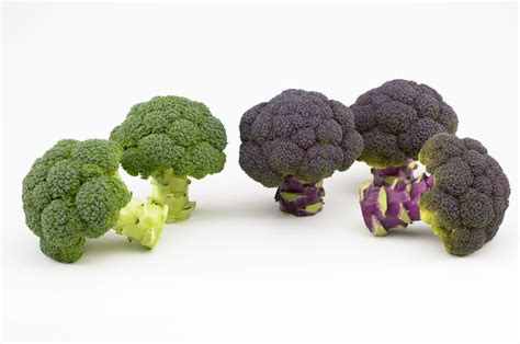 Comparativa visual de diferentes variedades de brócoli: verde, morado, romanesco.