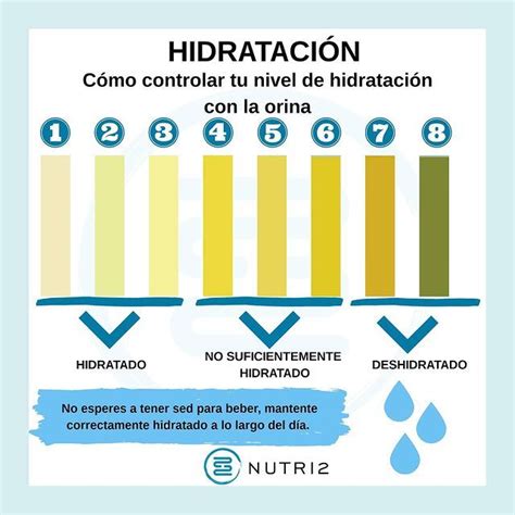 Imagen del resultado final de panes elaborados con diferentes niveles de hidratación, mostrando las diferencias en alvéolos y textura.