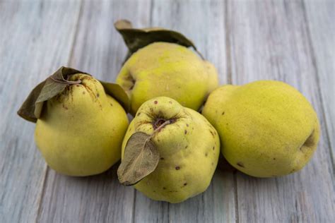 Fruto de membrillo maduro sobre una rama, mostrando su color amarillo dorado y forma característica.