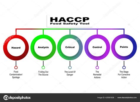 Diagrama de flujo del sistema HACCP