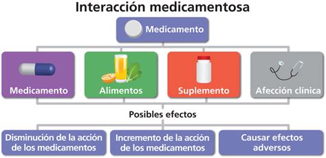 Esquema de las diferentes vías de interacción entre alimentos y medicamentos en el cuerpo humano