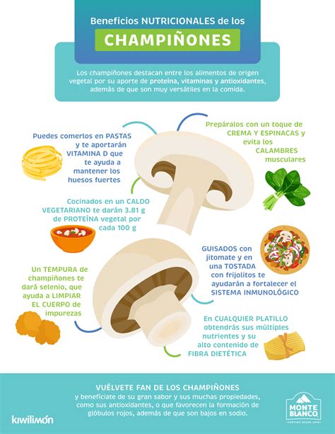 Infografía: Beneficios nutricionales clave de los champiñones