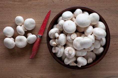 Foto: Champiñones frescos y variados listos para cocinar