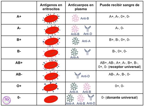 Diagrama: Interacción de lectinas con grupos sanguíneos