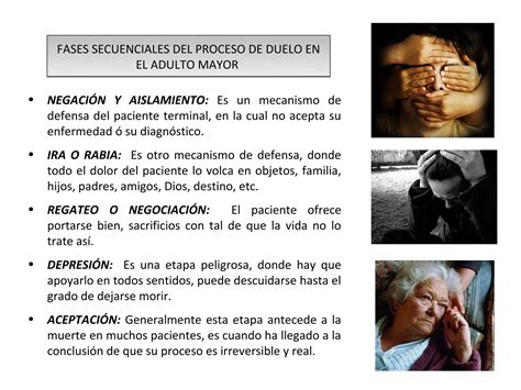 Esquema conceptual que ilustra la transición del proceso de morir y las visiones finales como una etapa de adaptación y paz.