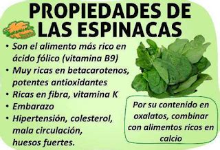 Infografía sobre los beneficios nutricionales de las espinacas.
