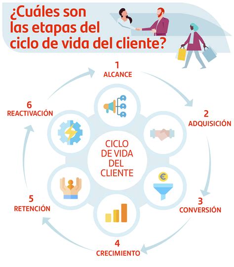 Diagrama del ciclo de vida del voluntario