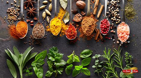 Esquema de ingredientes frescos: fresas, vinagre, especias y carne de primera calidad para una hamburguesa gourmet.