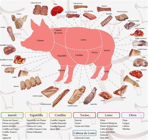Esquema de los diferentes cortes magros del cerdo y su porcentaje de grasa