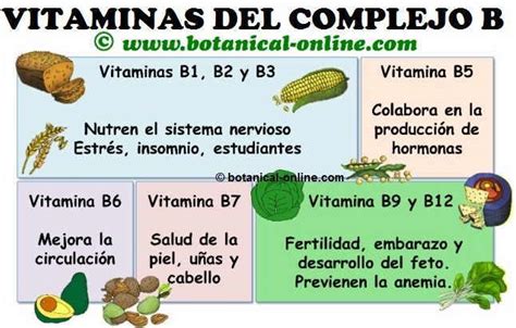Infografía comparativa sobre la función de las vitaminas del grupo B en el metabolismo energético.