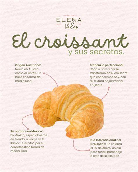 Ilustración de un croissant con su característica forma de media luna y textura hojaldrada.