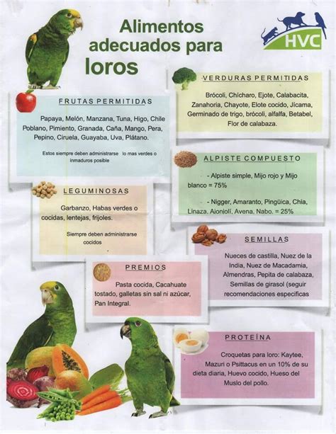 Infografía: Proporciones recomendadas de alimentos para loros (piensos, frutas y verduras, premios)