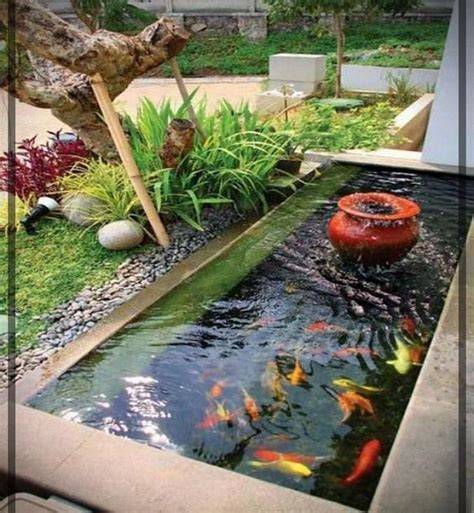 Diseño de estanque con zonas de vegetación densa y espacio abierto para peces goldfish.