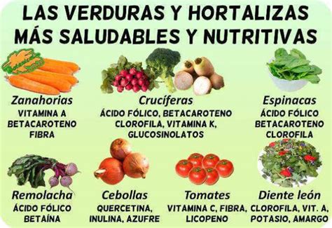 Esquema de las propiedades nutricionales de las verduras que favorecen la pérdida de peso (fibra, agua, vitaminas, minerales)