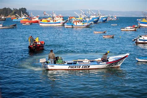 Fotografía de pescadores artesanales desembarcando jurel en una caleta.