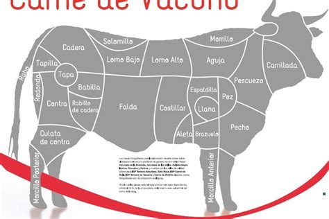 Infografía comparativa: Esquema de una vaca resaltando la ubicación de cortes económicos como el tapapecho, osobuco, tapabarriga y carnicero.