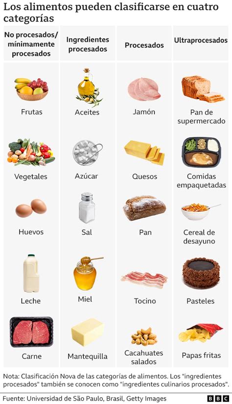 Esquema de ingredientes y herramientas para quesos vegetales