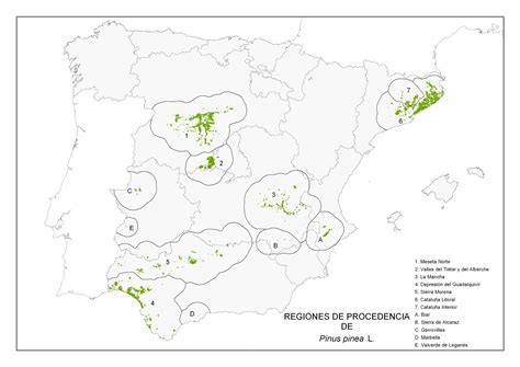 Mapa de distribución del pino piñonero en la península ibérica