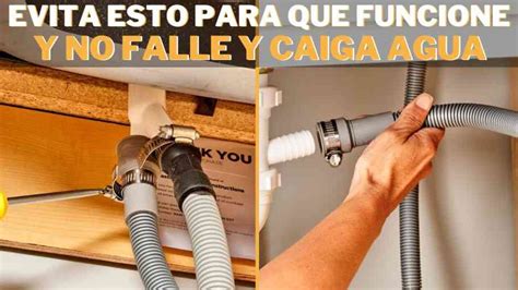 Esquema que muestra los componentes principales del lavavajillas: filtro, desagüe, manguera de drenaje y aspas (aspersores).