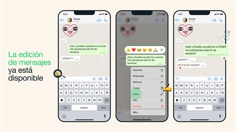 infografía explicando los diferentes estados de los mensajes en WhatsApp: una palomita gris, dos palomitas grises y dos palomitas azules