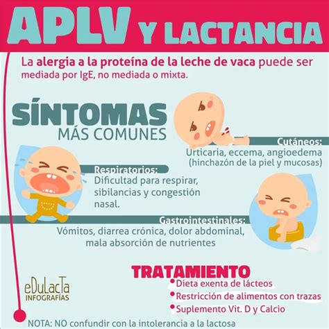 infografía sobre el mecanismo de la APLV y cómo las fórmulas hidrolizadas evitan la reacción inmune