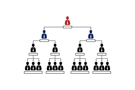 Gráfico de la estructura jerárquica de la oficialidad naval