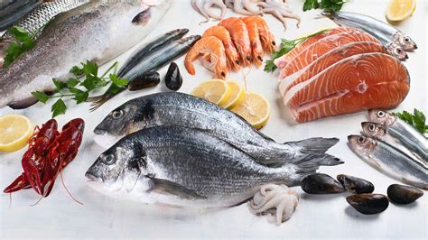 Infografía comparativa: perfil nutricional de los principales pescados y mariscos frente a las carnes rojas.