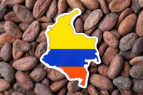 Mapa de las regiones de cultivo de cacao en el mundo