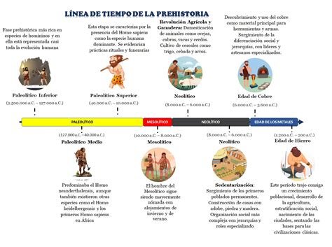 Infografía que muestra la línea de tiempo de la historia del pan, desde los granos molidos en la prehistoria hasta las técnicas modernas de panadería.