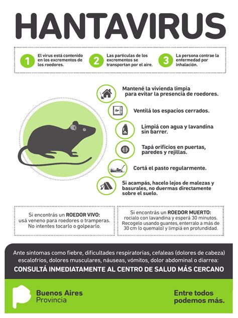 Infografía sobre consejos de prevención de hantavirus en el hogar