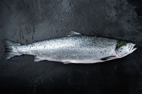 Imagen de un salmón fresco y vibrante en un puesto de pescado