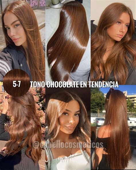 infografía explicando la gama de tonos chocolate para el cabello, desde los más oscuros a los más claros, con ejemplos visuales de cada uno.