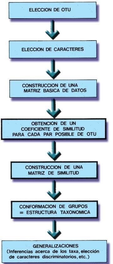 Diagrama de flujo mostrando los pasos para la elaboración de la masa de alfajores, desde el tamizado de ingredientes secos hasta el enfriamiento.