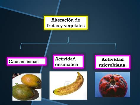 Esquema sobre los tipos de alteraciones en frutas y verduras: físicas, químicas y biológicas.