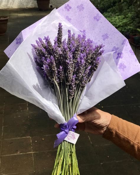 ramo de flores de lavanda y otras flores púrpuras