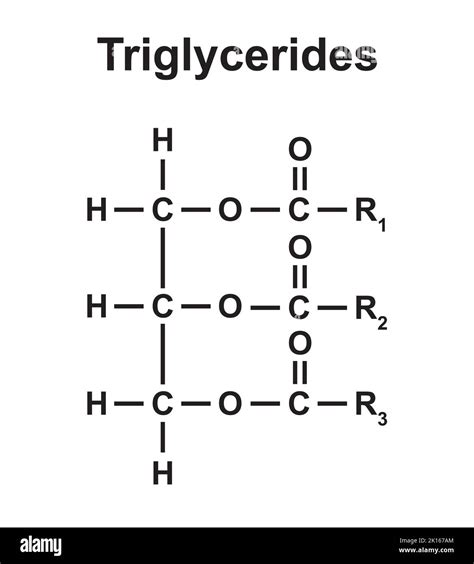 Estructura general de un triglicérido