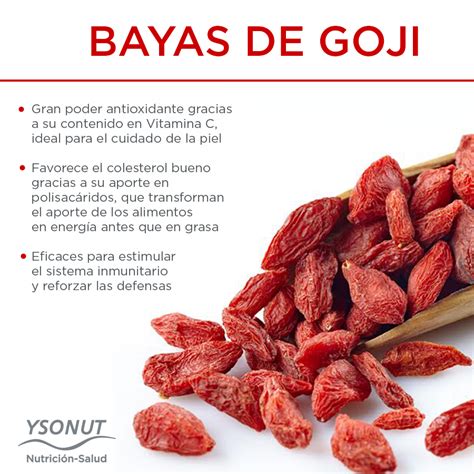 Esquema de los componentes activos de las bayas de Goji y sus beneficios cosméticos para la piel y el cabello