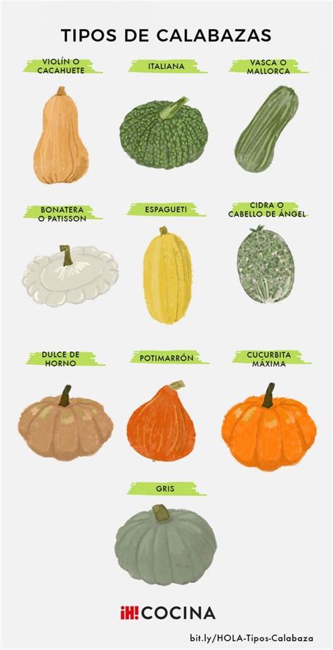 comparativa visual de diferentes variedades de calabaza y sus usos en cocina