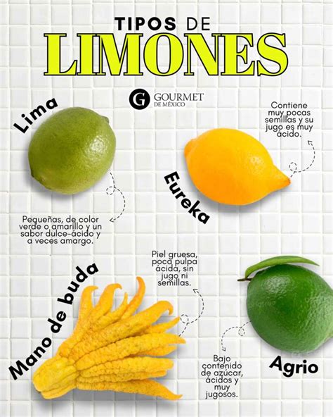Limones rellenos de diferentes tipos, con un ambiente veraniego
