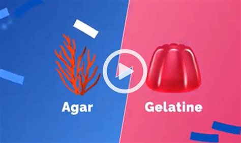 Infografía: Diferencias entre agar agar y gelatina