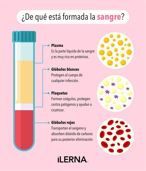 Esquema de las diversas aplicaciones de la sangre en diferentes culturas