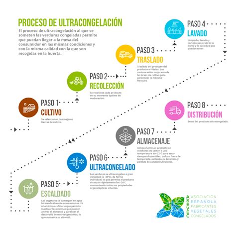 esquema proceso ultracongelación de verduras